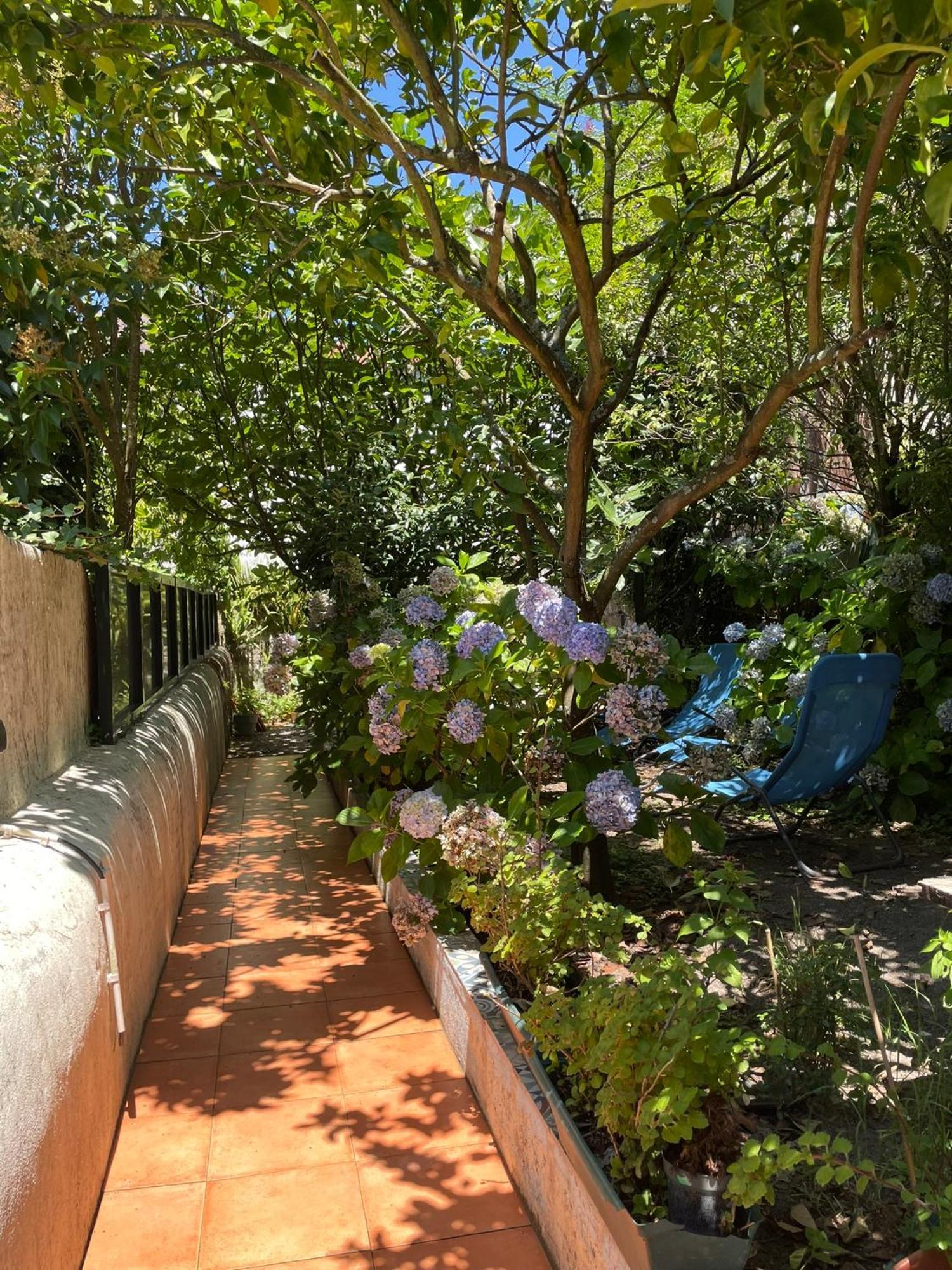 Casa Portugueza Experience Apartment Porto Exterior photo